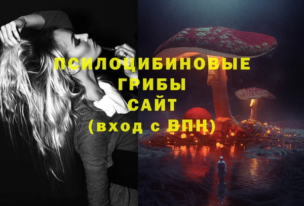сатива Вязники